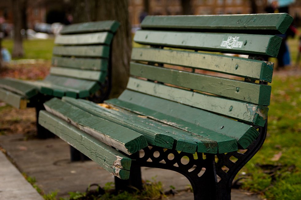 Bench-980px.jpg