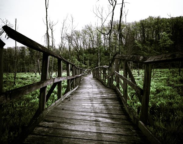 Landscapes